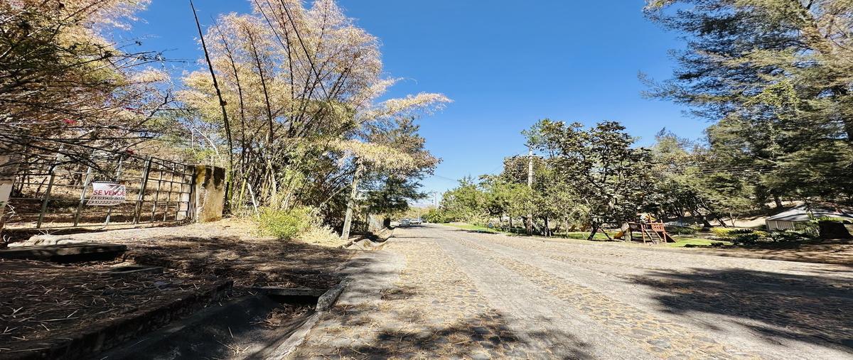 Foto de terreno habitacional en venta en  , pinar de la venta, zapopan, jalisco, 29379156 No. 04