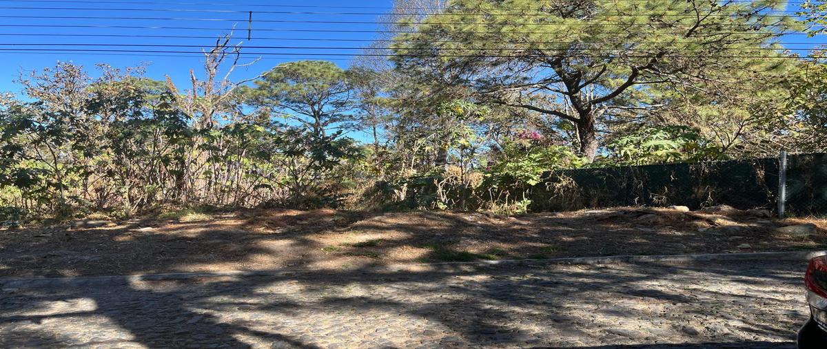 Foto de terreno habitacional en venta en  , pinar de la venta, zapopan, jalisco, 0 No. 03