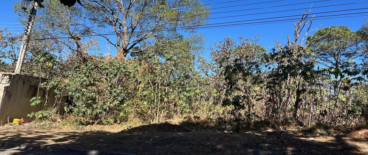 Foto de terreno habitacional en venta en  , pinar de la venta, zapopan, jalisco, 0 No. 04