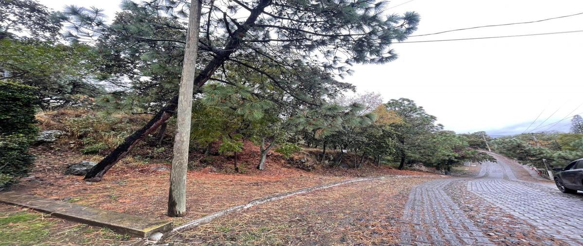 Foto de terreno habitacional en venta en  , pinar de la venta, zapopan, jalisco, 0 No. 03