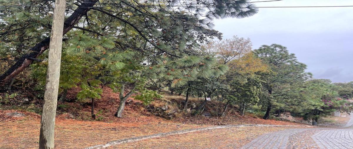 Foto de terreno habitacional en venta en  , pinar de la venta, zapopan, jalisco, 0 No. 04