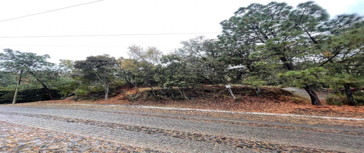 Foto de terreno habitacional en venta en  , pinar de la venta, zapopan, jalisco, 0 No. 05