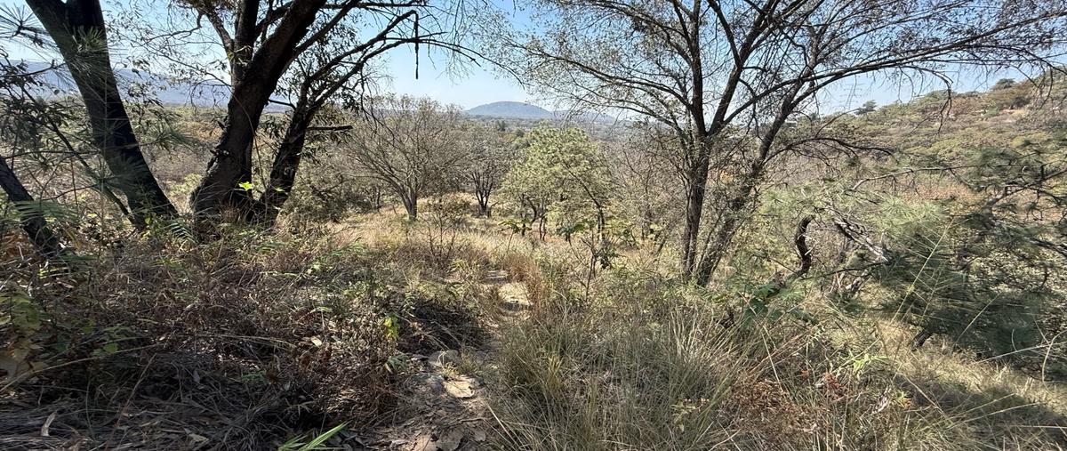Foto de terreno habitacional en venta en  , pinar de la venta, zapopan, jalisco, 30712395 No. 03