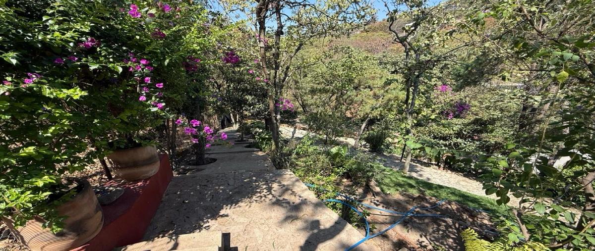Foto de casa en renta en  , pinar de la venta, zapopan, jalisco, 0 No. 04