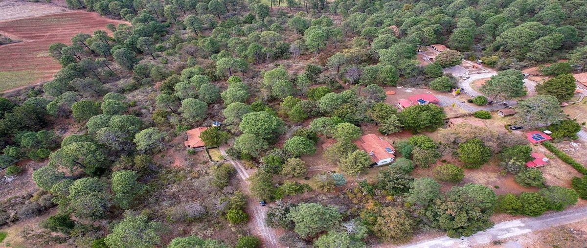Foto de terreno habitacional en venta en pinares de tapalpa , tapalpa, tapalpa, jalisco, 0 No. 03