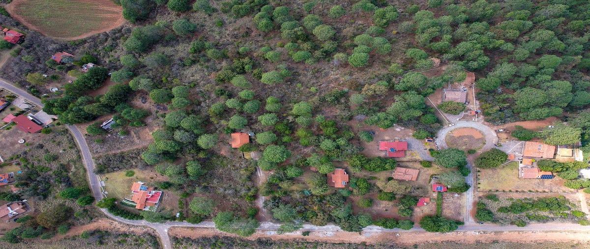 Foto de terreno habitacional en venta en pinares de tapalpa , tapalpa, tapalpa, jalisco, 0 No. 04