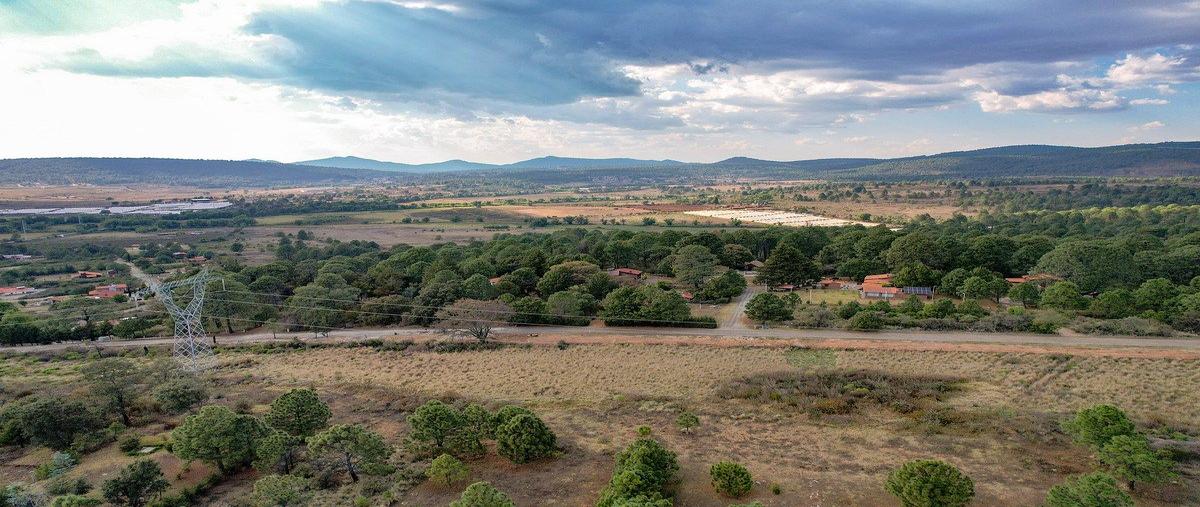 Foto de terreno habitacional en venta en pinares de tapalpa , tapalpa, tapalpa, jalisco, 0 No. 05