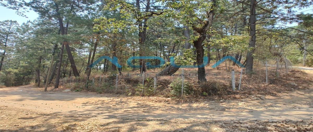 Foto de terreno habitacional en venta en pinares del lago , avándaro, valle de bravo, méxico, 28041572 No. 04