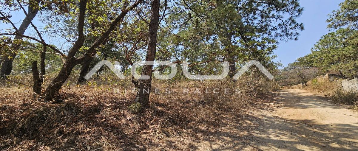 Foto de terreno habitacional en venta en pinares del lago , avándaro, valle de bravo, méxico, 0 No. 04