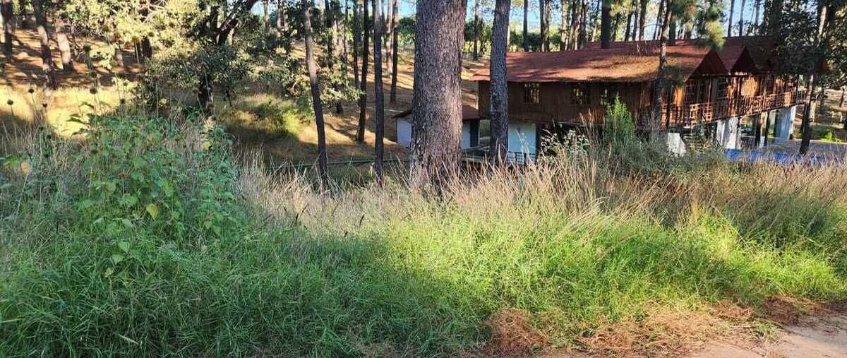 Foto de terreno habitacional en pine tree , puerta del zapatero, mazamitla, jalisco, 29273755 foto 01 Foto de terreno habitacional en venta en pine tree , puerta del zapatero, mazamitla, jalisco, 29273755 No. 01