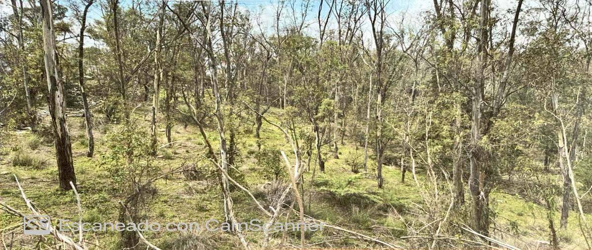Foto de terreno habitacional en venta en pinguinos y jilguero , lago de guadalupe, cuautitlán izcalli, méxico, 30525095 No. 03
