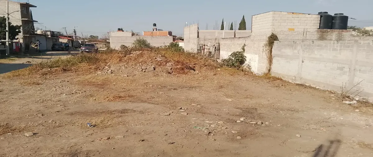 Foto de terreno habitacional en venta en pino 1, san lucas amalinalco, chalco, méxico, 0 No. 03