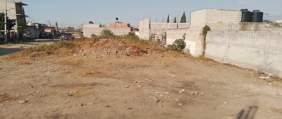 Foto de terreno habitacional en venta en pino 1, san lucas amalinalco, chalco, méxico, 0 No. 04