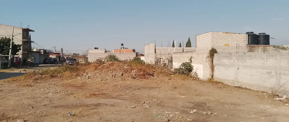 Foto de terreno habitacional en venta en pino 1, san lucas amalinalco, chalco, méxico, 0 No. 05