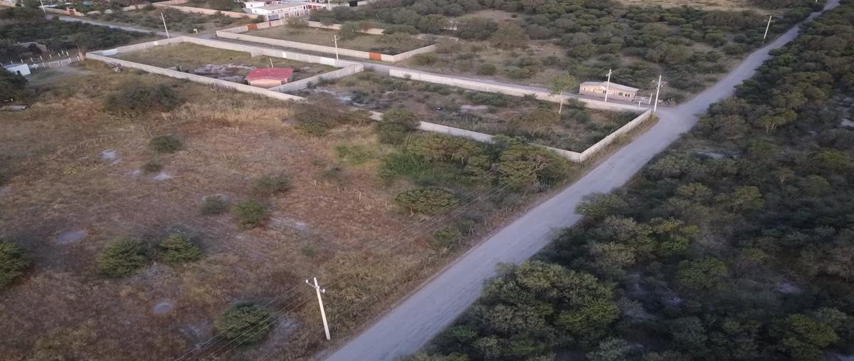 Foto de terreno habitacional en venta en pino duranguense , rancho los pinos, durango, durango, 28728649 No. 03
