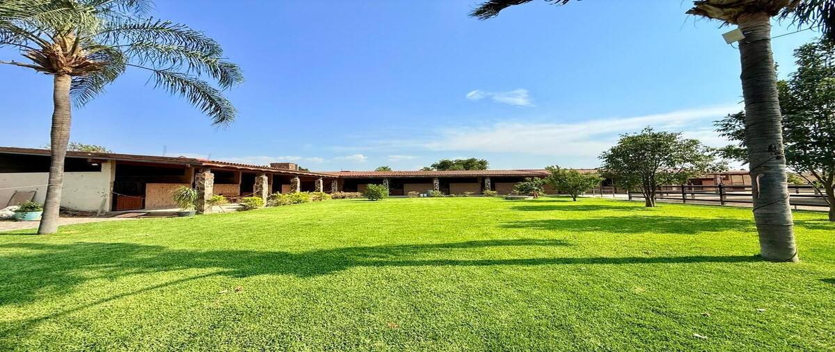 Foto de rancho en venta en pino , lópez cotilla, san pedro tlaquepaque, jalisco, 29987755 No. 04