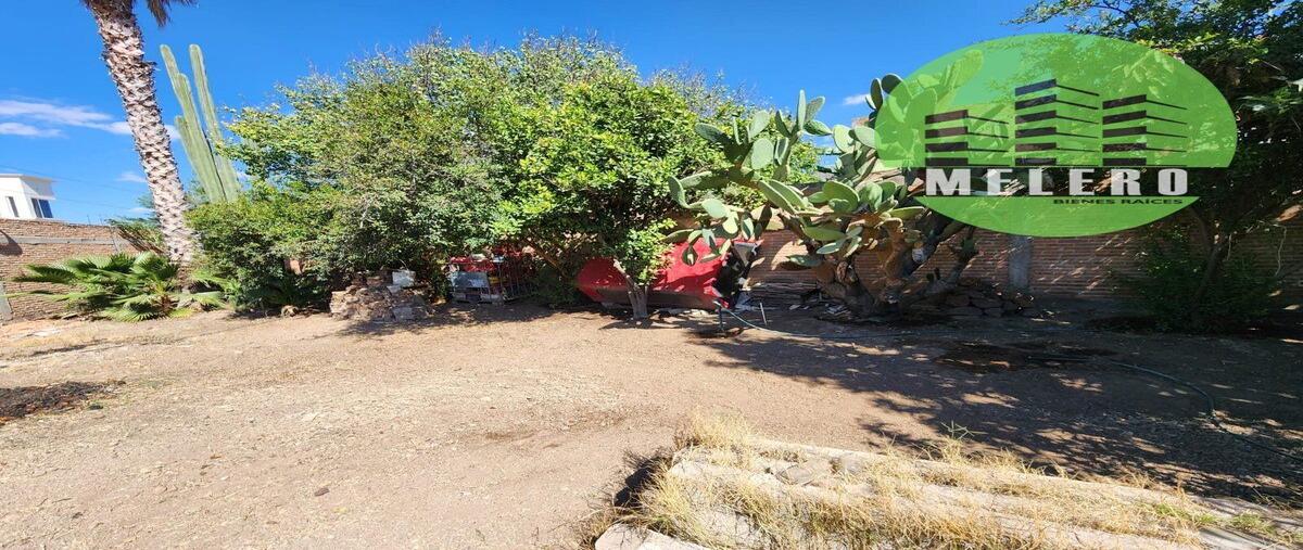 Foto de bodega en venta en pino , nuevo amanecer, durango, durango, 28698223 No. 03