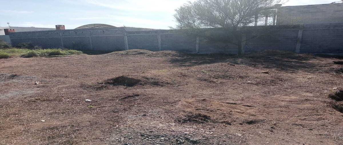 Foto de terreno habitacional en venta en pino , portal de zuazua, general zuazua, nuevo león, 0 No. 04