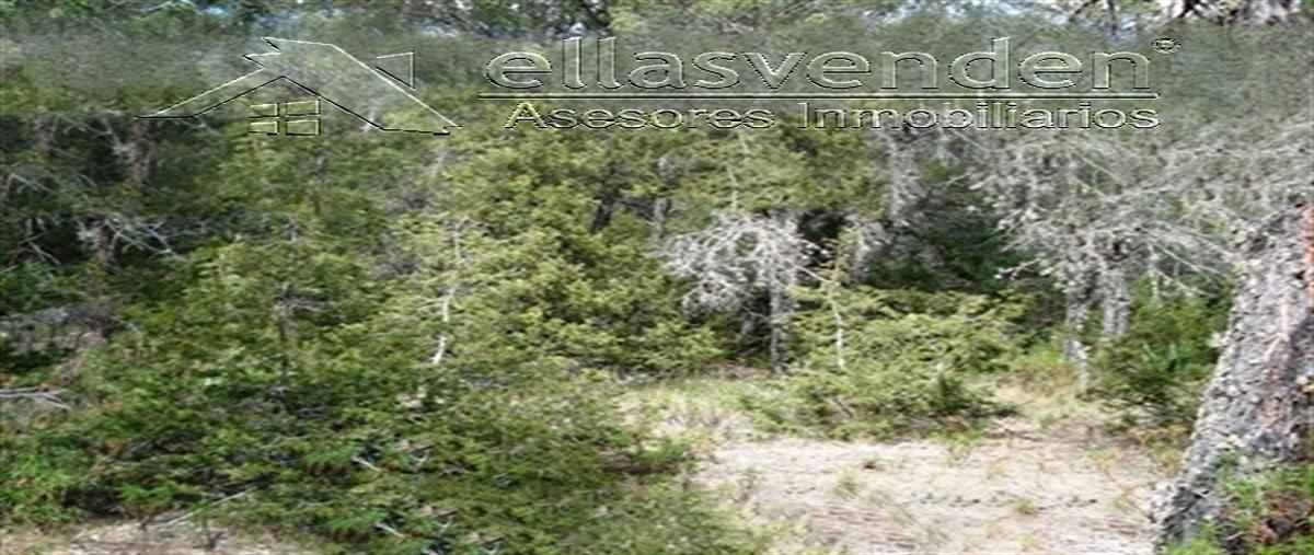 Foto de terreno habitacional en pino real 0, sierra hermosa, arteaga, coahuila de zaragoza, 28010238 foto 01 Foto de terreno habitacional en venta en pino real 0, sierra hermosa, arteaga, coahuila de zaragoza, 28010238 No. 01