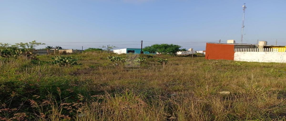 Foto de terreno habitacional en venta en pino suarez 1, vista hermosa, alvarado, veracruz de ignacio de la llave, 0 No. 03