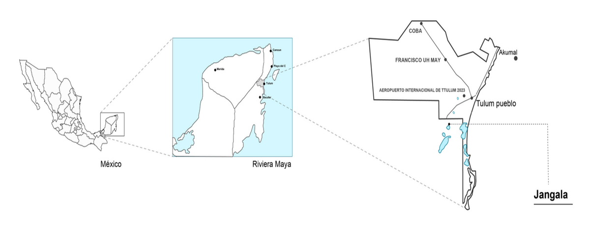 Foto de terreno habitacional en venta en pino suárez , francisco uh-may, tulum, quintana roo, 0 No. 03