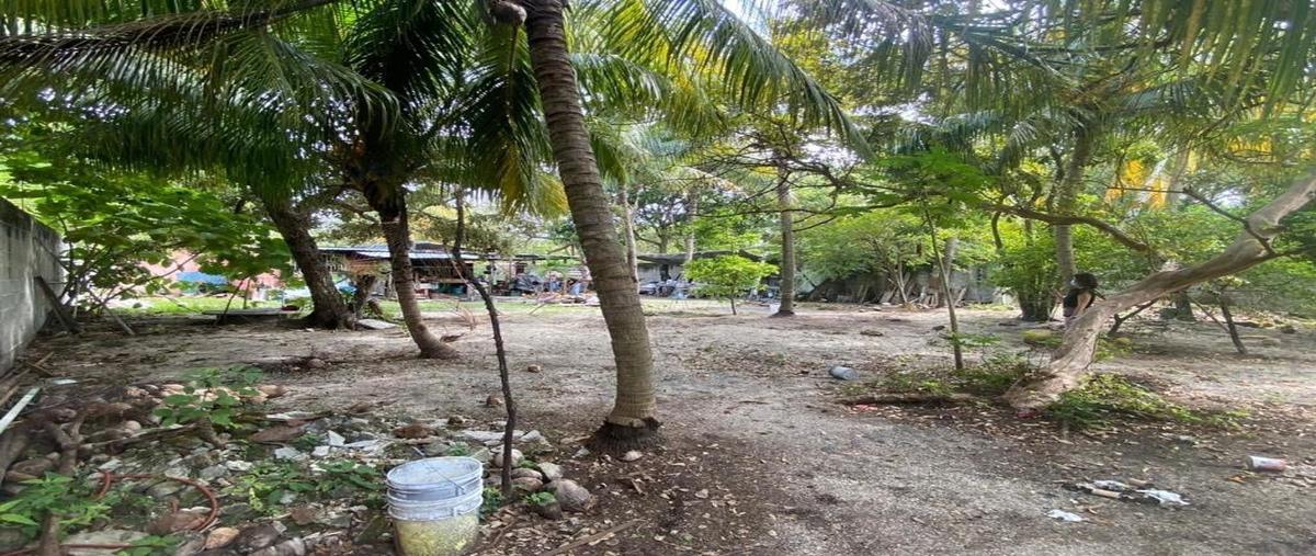 Foto de terreno habitacional en venta en pino suarez , isla aguada, carmen, campeche, 24723432 No. 05