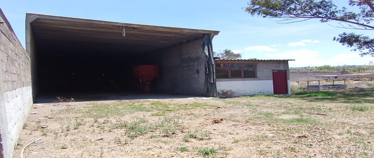 Foto de rancho en venta en pino suárez , san francisco tenopalco, melchor ocampo, méxico, 0 No. 05