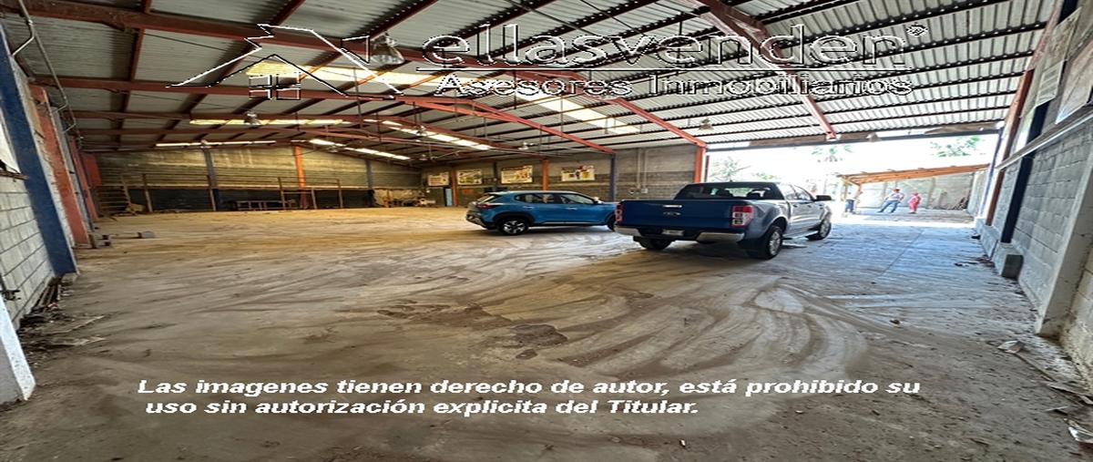 Foto de bodega en pino suerez 420, salinas victoria, salinas victoria, nuevo león, 0 foto 02 Foto de bodega en venta en pino suerez 420, salinas victoria, salinas victoria, nuevo león, 0 No. 02