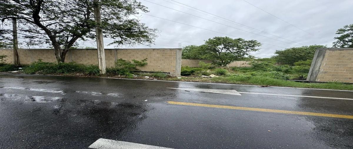 Foto de terreno habitacional en venta en  , pinos norte ii, mérida, yucatán, 0 No. 04