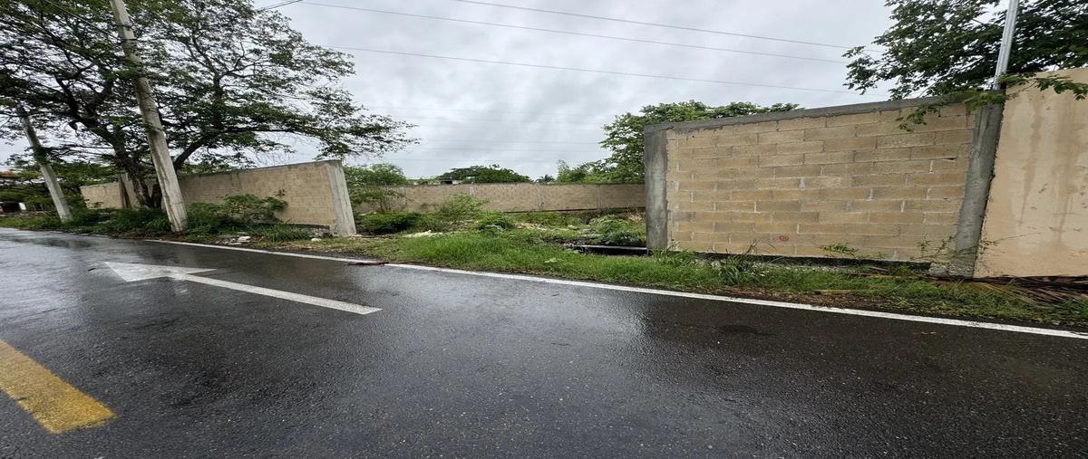 Foto de terreno habitacional en venta en  , pinos norte ii, mérida, yucatán, 0 No. 05