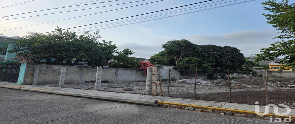 Foto de terreno comercial en renta en pipila 153, actopan centro, actopan, veracruz de ignacio de la llave, 30273880 No. 05