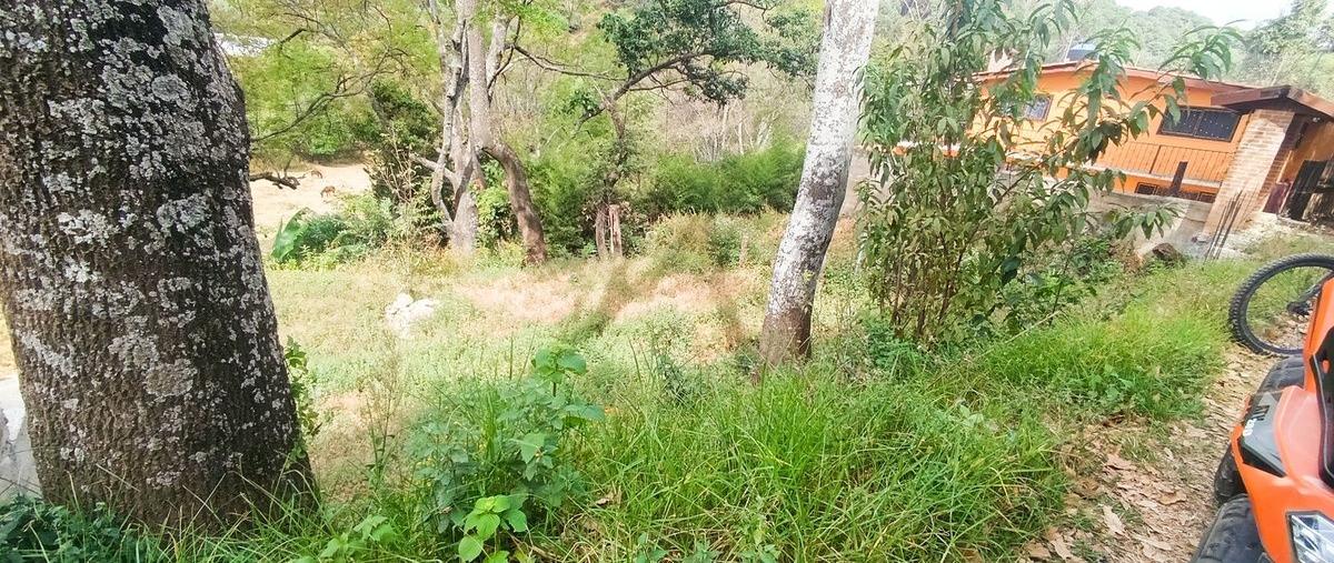 Foto de terreno habitacional en pipiol , pipioltepec, valle de bravo, méxico, 29025789 foto 03 Foto de terreno habitacional en venta en pipiol , pipioltepec, valle de bravo, méxico, 29025789 No. 03