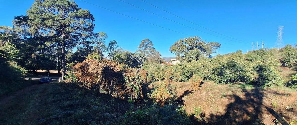 Foto de terreno habitacional en venta en pipiol , pipioltepec, valle de bravo, méxico, 29090690 No. 04