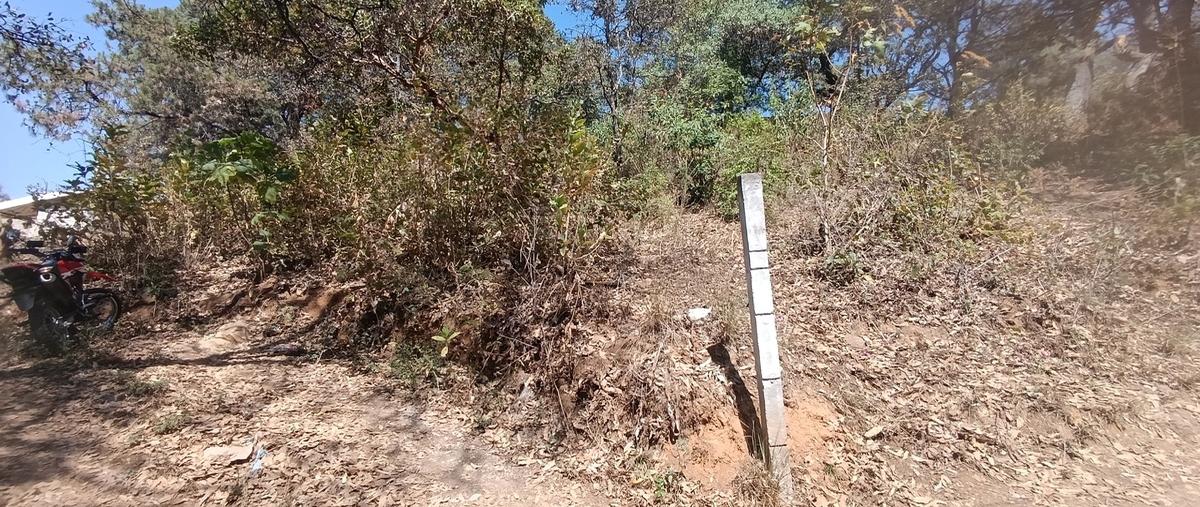 Foto de terreno habitacional en pipiol , pipioltepec, valle de bravo, méxico, 29448298 foto 01 Foto de terreno habitacional en venta en pipiol , pipioltepec, valle de bravo, méxico, 29448298 No. 01