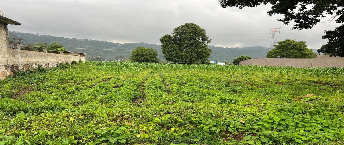 Foto de terreno habitacional en venta en pipioltepec , pipioltepec, valle de bravo, méxico, 28594306 No. 05