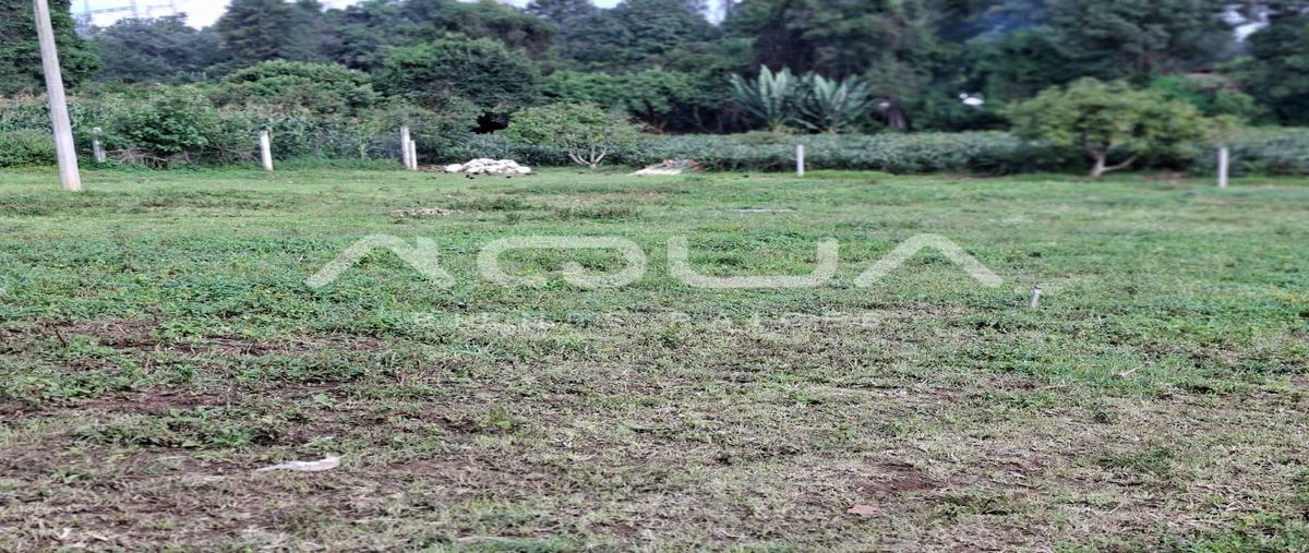 Foto de terreno habitacional en venta en pipioltepec , pipioltepec, valle de bravo, méxico, 0 No. 05
