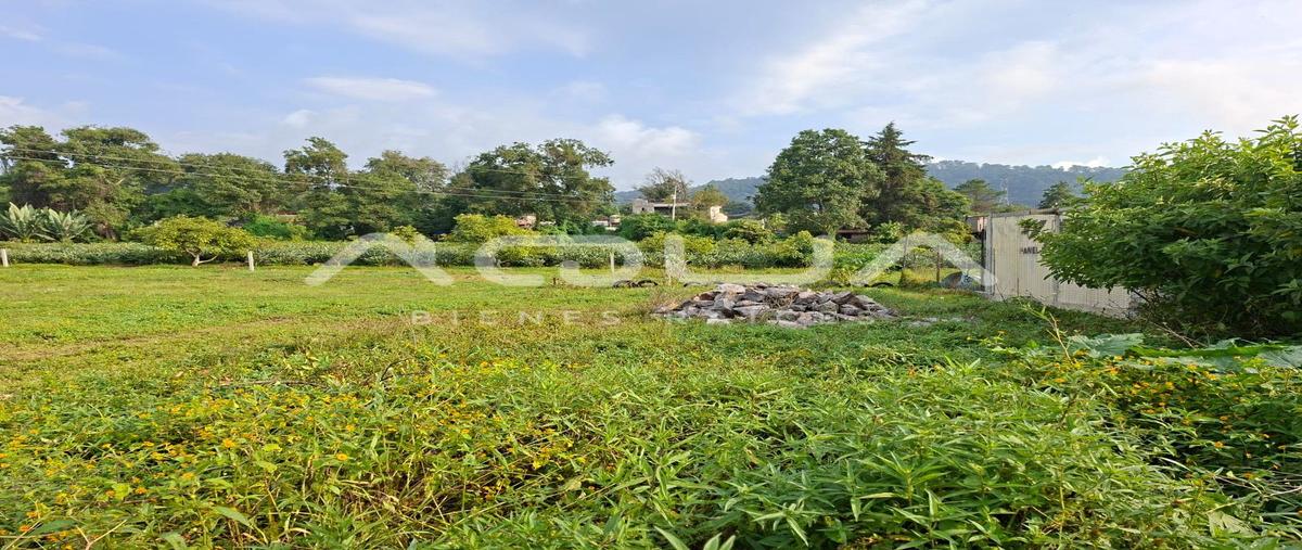 Foto de terreno habitacional en venta en pipioltepec , pipioltepec, valle de bravo, méxico, 0 No. 06