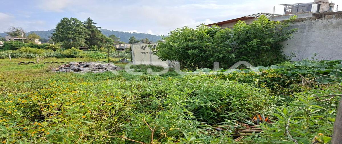 Foto de terreno habitacional en venta en pipioltepec , pipioltepec, valle de bravo, méxico, 0 No. 07