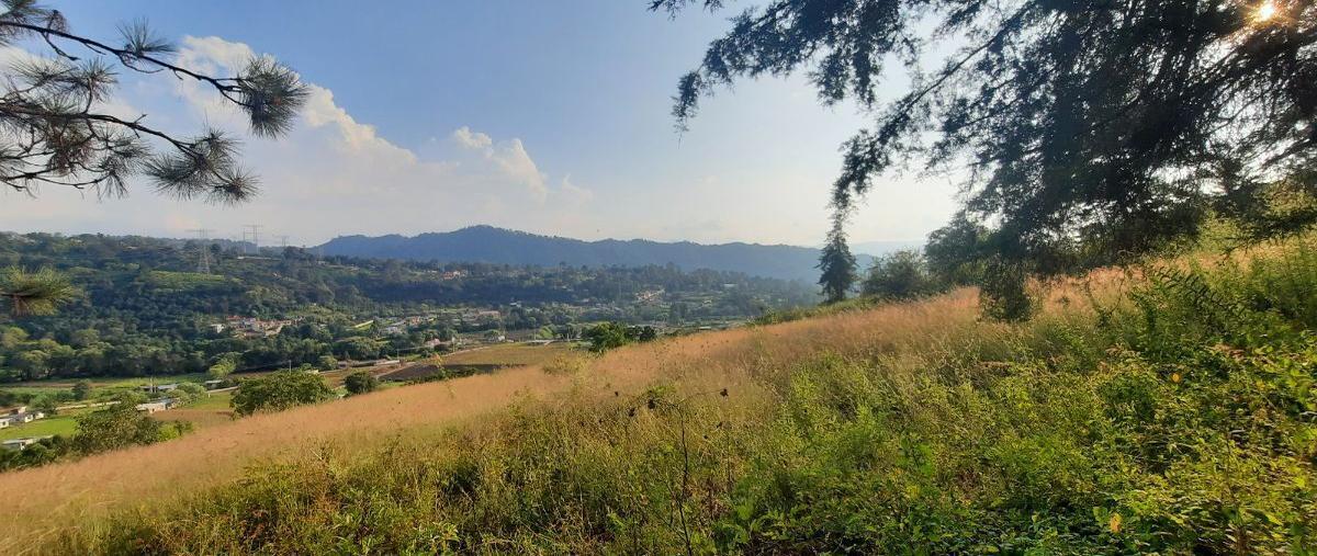 Foto de terreno habitacional en venta en  , pipioltepec, valle de bravo, méxico, 27489321 No. 01