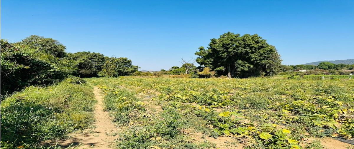 Foto de terreno habitacional en venta en  , pipioltepec, valle de bravo, méxico, 27847444 No. 03