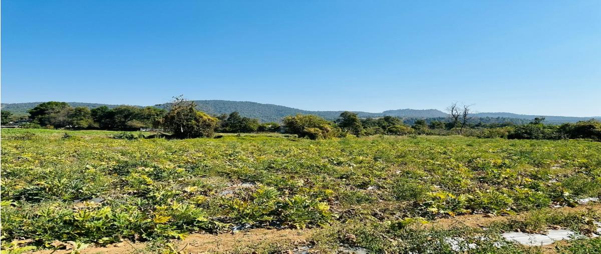 Foto de terreno habitacional en venta en  , pipioltepec, valle de bravo, méxico, 27847444 No. 05
