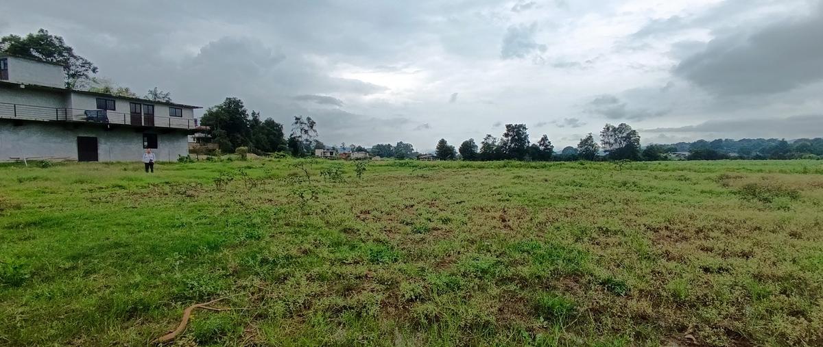 Foto de terreno habitacional en venta en  , pipioltepec, valle de bravo, méxico, 28678352 No. 03