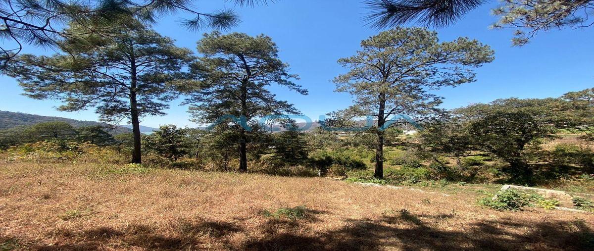 Foto de terreno habitacional en venta en  , pipioltepec, valle de bravo, méxico, 0 No. 03