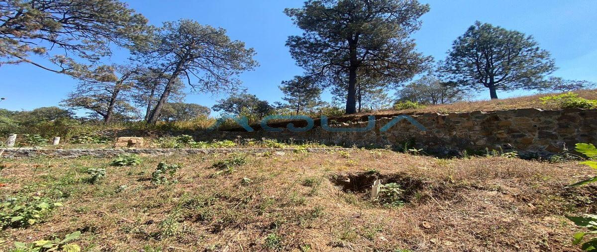 Foto de terreno habitacional en venta en  , pipioltepec, valle de bravo, méxico, 0 No. 04