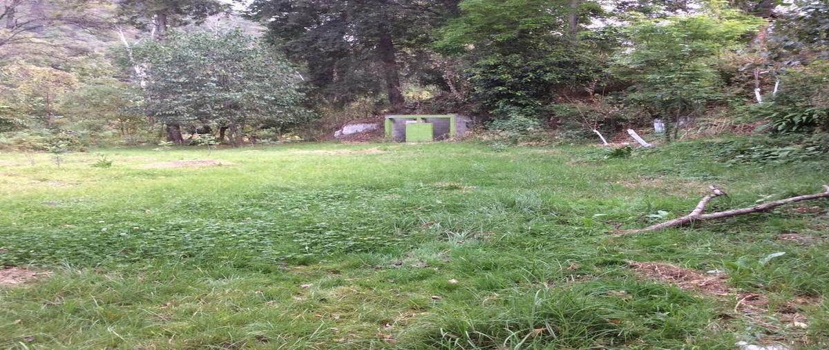 Foto de terreno habitacional en venta en  , pipioltepec, valle de bravo, méxico, 30836549 No. 05