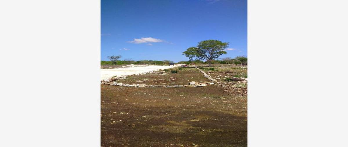 Foto de terreno comercial en venta en piramide xx, izamal, izamal, yucatán, 11516502 No. 05