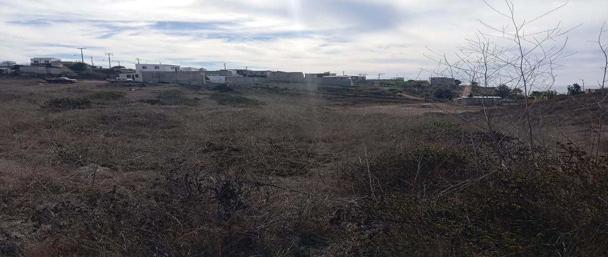 Foto de terreno habitacional en pirul , mar de calafia, playas de rosarito, baja california, 30610542 foto 01 Foto de terreno habitacional en venta en pirul , mar de calafia, playas de rosarito, baja california, 30610542 No. 01