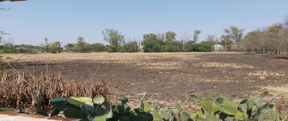 Foto de rancho en venta en pirules 000, valle verde (haciendas valle verde), apaseo el grande, guanajuato, 0 No. 03