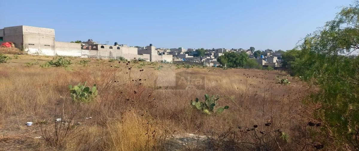 Foto de terreno habitacional en venta en pirules 2, santa maría chimalhuacán, chimalhuacán, méxico, 24912424 No. 04