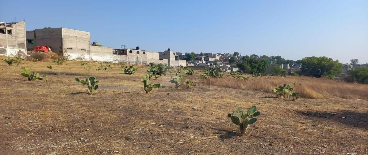 Foto de terreno habitacional en venta en pirules 2, santa maría chimalhuacán, chimalhuacán, méxico, 24912424 No. 05